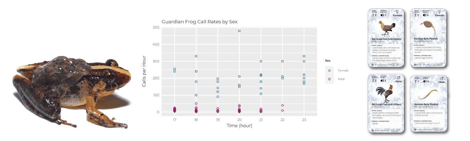 Why Exceptions Matter in Biology and Everyday Life